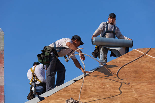 Best Commercial Roof Installation  in Caoncito, NM